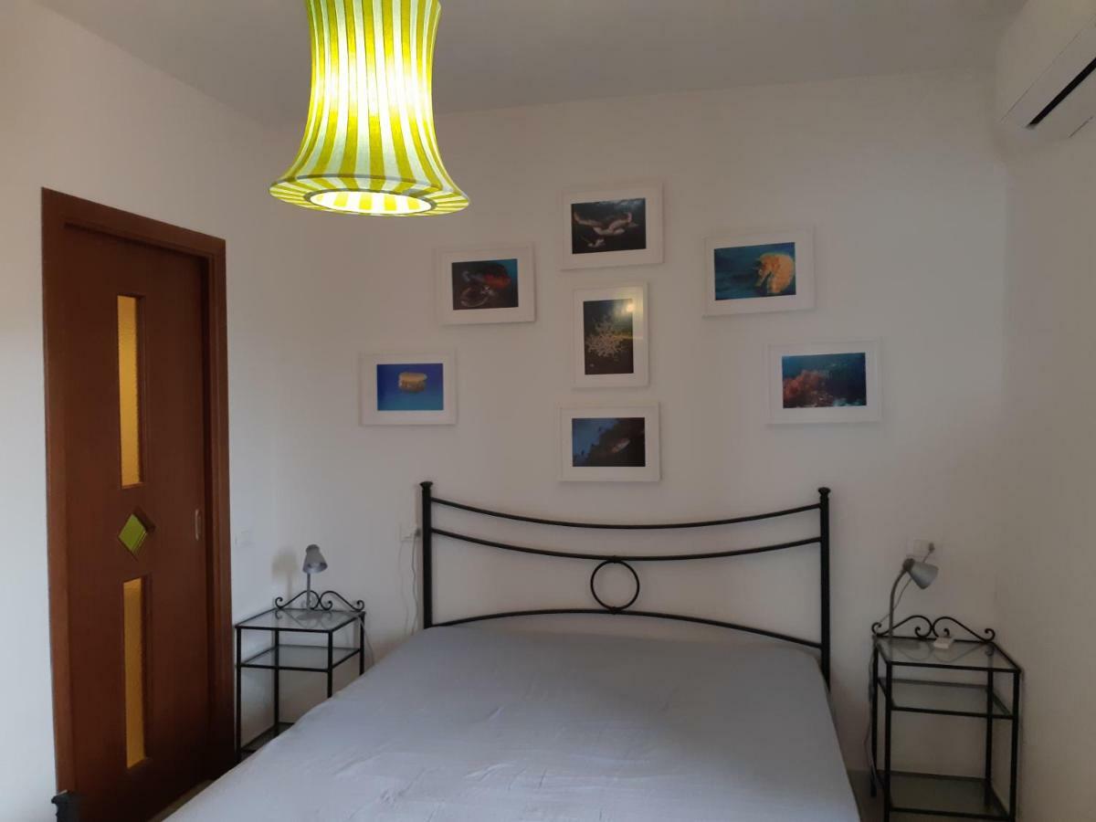 Campese Apartments Bagian luar foto