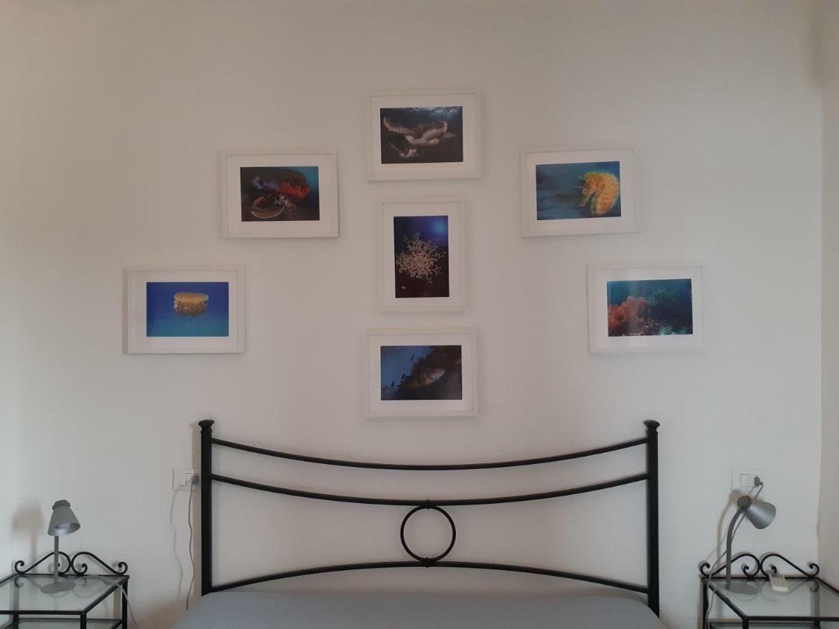 Campese Apartments Bagian luar foto